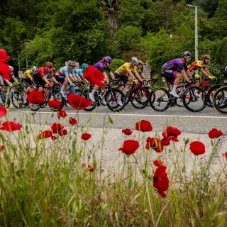 4th Stage Marmaris - Bodrum