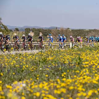 5th Stage Manisa - Ayvalık